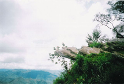 Lianchhiari lunglen tlang
