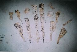 Articles found in the ruins of Selesih