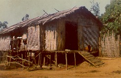 Typical Mizo House